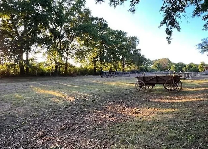 Gaestewohnung Auf Dem Heilandhof *